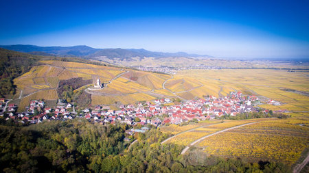 Aerial view Alsaceの写真素材