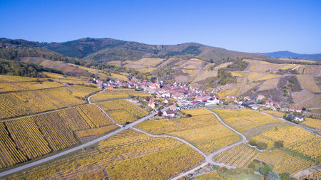 Aerial view of Alsaceの写真素材