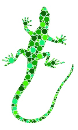dotted lizard illustrationのイラスト素材