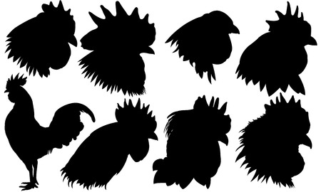 set of rooster heads isolatedのイラスト素材