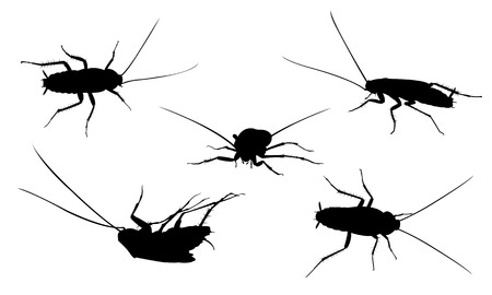 set of cockroachesのイラスト素材
