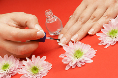Female applying varnish on her nails on red backgroundの写真素材