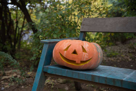 Pumpkin head for Halloween on a garden bench in the garden. Creative Halloween concept background.の写真素材