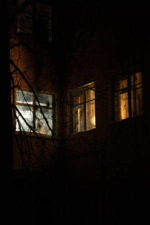 A dark, eerie image of a house at night with glowing windows and bare tree branches in the...