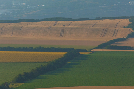 Green fields. Agricultural landscape. Harvest. South of Russia. Geometry of fields.