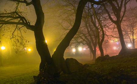 Night spring forest. A thick night mist, light from a lantern and the moon. Full moon. Mysteriousness.の写真素材