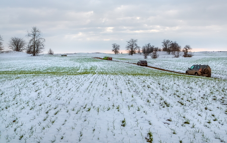 Winter fields in the snow. Winter. Wheat.の写真素材