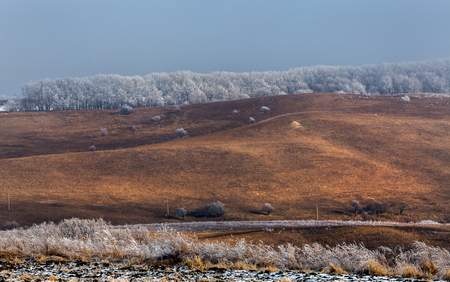 Orange steppe in the snow, hoarfrost. The winter steppe is frostbitten. Steppe landscape, nature.