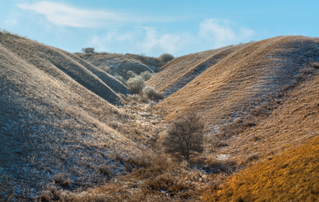 Orange steppe in the snow, hoarfrost. The winter steppe is frostbitten. Steppe landscape, nature.の写真素材