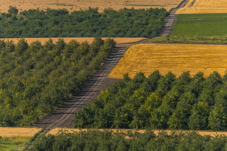 Green fields. Agricultural landscape. Harvest. South of Russia. Geometry of fields. travel, field,...