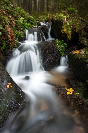 Waterfall in the forestの写真素材