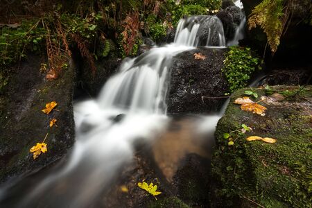 Waterfall in the forestの写真素材