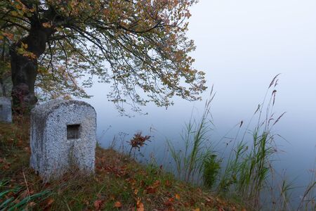 A stone bollard under a tree crown.の写真素材