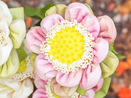 This lotus is an antique traditional making by Thai people. They make it every buddhaの写真素材