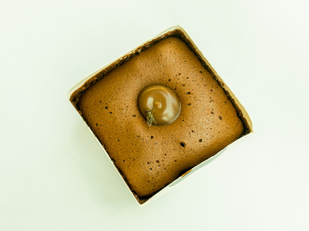 Fly on dark chocolate cake on white background.の写真素材