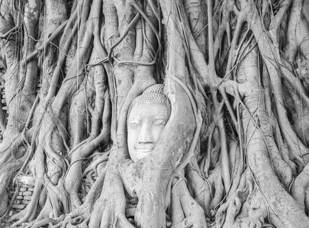 Phra Nakon Si Ayutthaya Thailandの写真素材