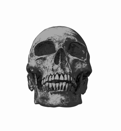 Front side view of human skull on isolated black background,Monochrome and clipping pathsの写真素材