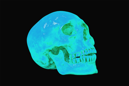 Side view of blue human skull on isolated with ,clipping pathの写真素材