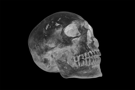 Side view of human skull on isolated black background with ,clipping pathの写真素材