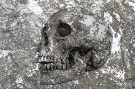 Abstract symbol idea,Life, Side view of human skull in rock background. Life No.3 2016の写真素材