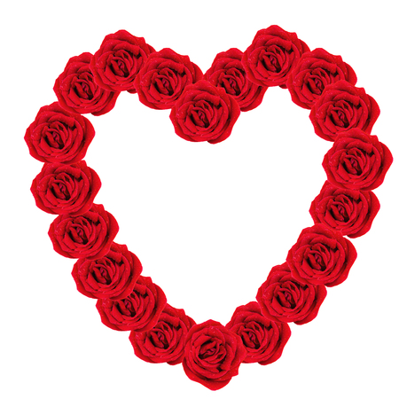 beautiful heart of red rose petals isolated on whiteの写真素材