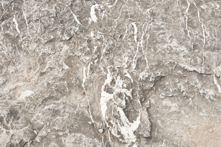 Stone surface of the rock, background closeupの写真素材