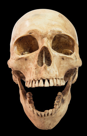 front view of human skull on isolated black background,clipping pathの写真素材