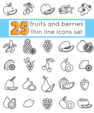Outline icon set fruits and berries with elements for mobile concepts and web apps. Line and flat style icon. Vector sign.のイラスト素材