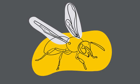 Wasp light in the night skyのイラスト素材