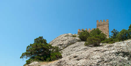 View of the old stone tower, which is located on a mountain with green pine trees.