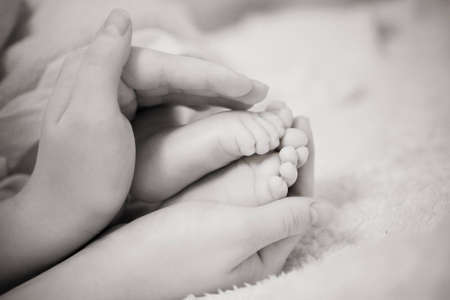 Baby's feet in his mother's handsの写真素材