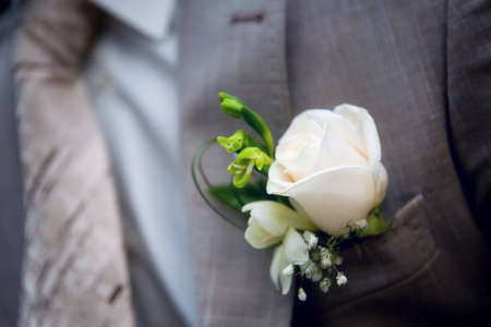 Boutonniere on a man's jacket, white roseの写真素材