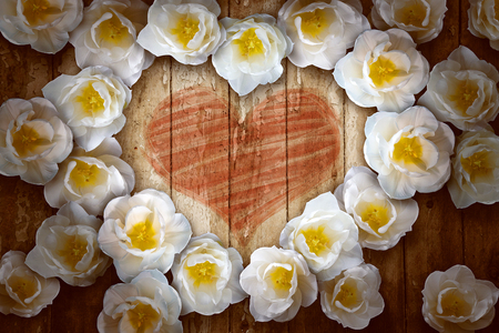 Flower Heartの写真素材