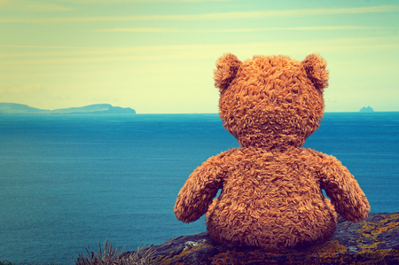 Lonely Teddyの写真素材