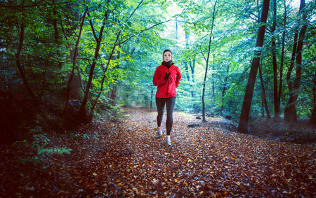 Forest Runの写真素材