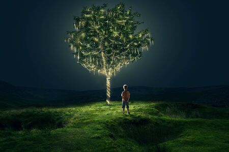 Boy stands in front of illuminated treeの写真素材