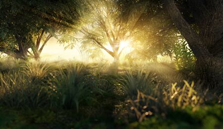 Clearing in the morning sun (3D Rendering)の写真素材
