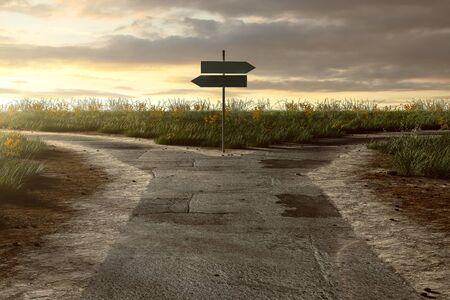Crossroads with signpostの写真素材