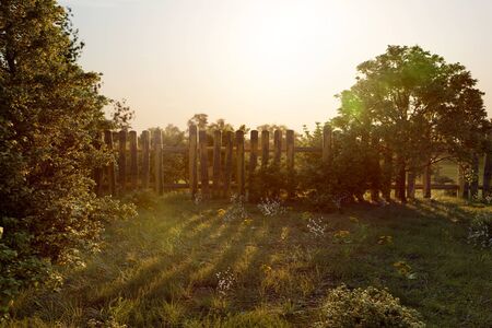 Unkempt Garden Scene (3D Rendering)の写真素材