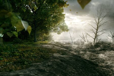 Forest is bordered by desert (3D Rendering)の写真素材