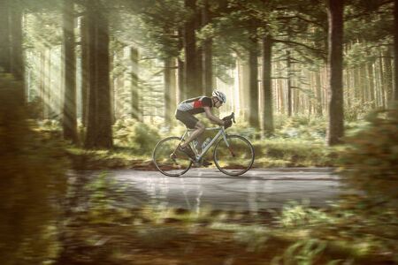 Road biker on a forest streetの写真素材
