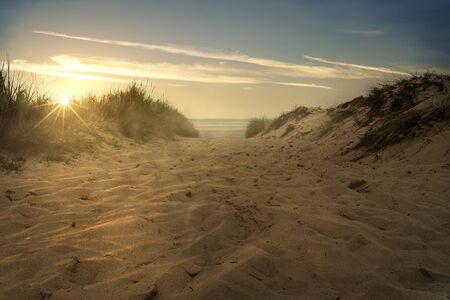 Path through the dunes to the seaの写真素材
