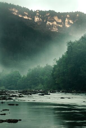 River with misty forest above