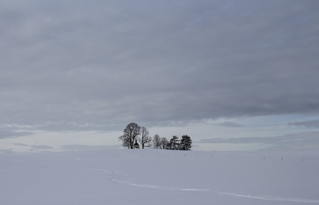 The house on the hillの写真素材