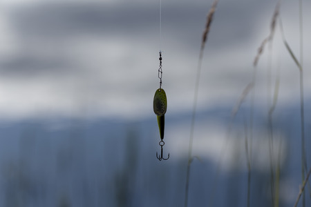 An isololated lure with some straws of grass in front of the waterの写真素材