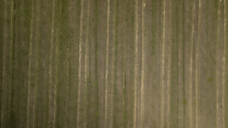 A field after harvestingの写真素材
