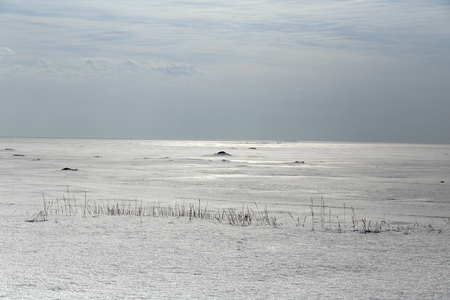 Some frozen weed in front of a frozen ocean and a cloudy skyの写真素材