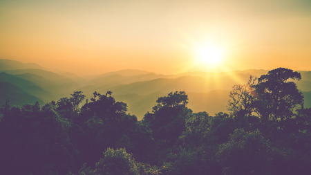 Wallpaper background garden park outdoor Sunset on the mountains. phusawan chongyen in Thailand