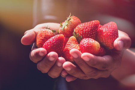 Fresh strawberries closeup. holding strawberry in handsの写真素材