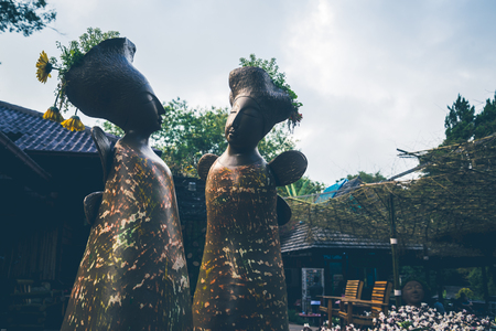 Wallpaper background garden park outdoor.thailand doiangkhangの写真素材